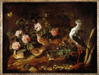 Still-life with Owl and Ibis by Paolo Porpora