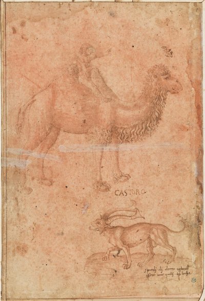 A camel with a child riding. Below a fabulous beast (Castoro) by Paolo Uccello