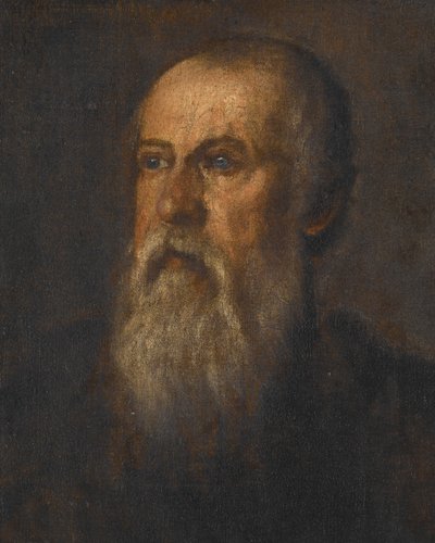 Portrait of a Bearded Man by Paolo Veronese