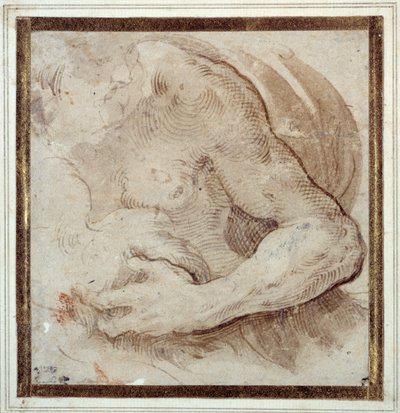Study of the Left Arm, Chest and Head of a Bearded Man by Parmigianino