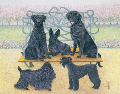 A Seat in the Park by Pat Scott
