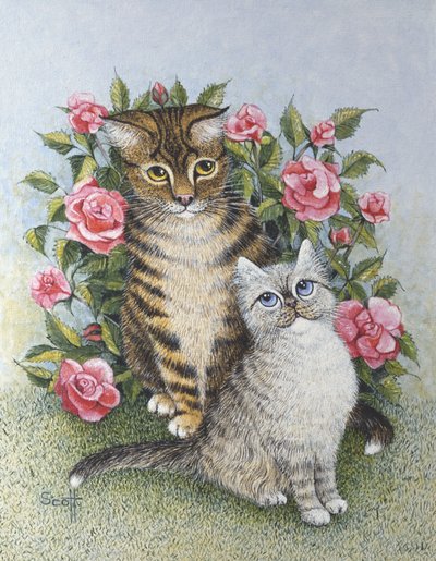 Attraction by Pat Scott