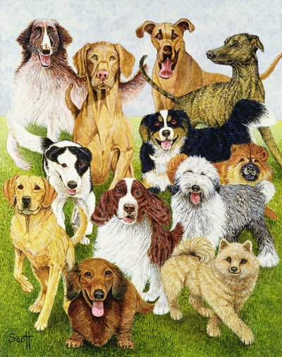 Dog Days by Pat Scott