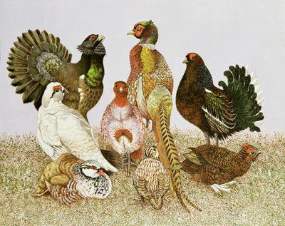 Game Birds by Pat Scott
