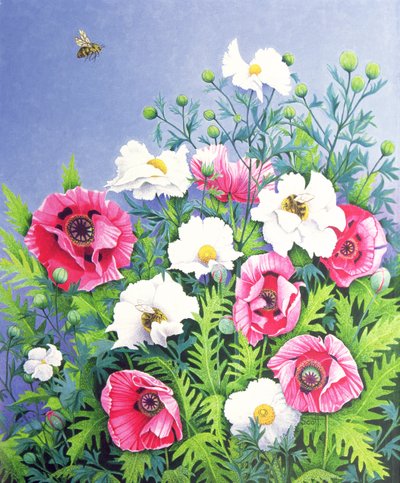 Honey Bee, Honey Bee by Pat Scott