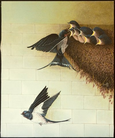 Hungry Mouths, 2011 by Pat Scott