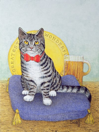 Mr Wonderful by Pat Scott