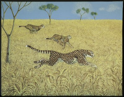 Sheer Speed by Pat Scott