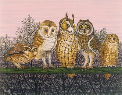 Tu-whit Tu-whooing by Pat Scott