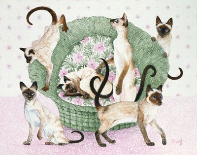 We are Siamese if you please by Pat Scott