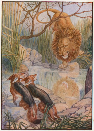 A Lion