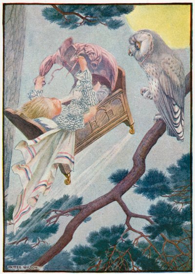 Little Jack Rollaround by Patten Wilson