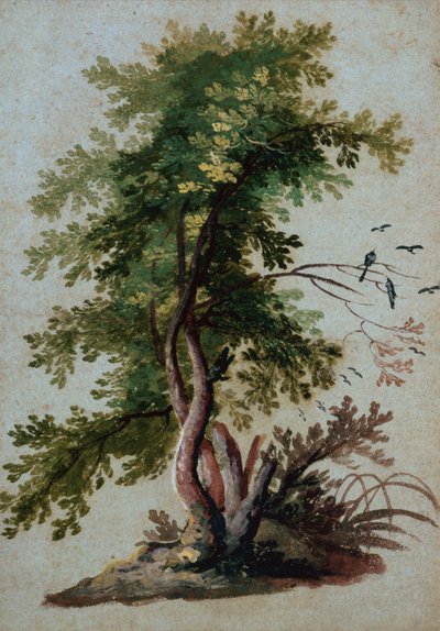 A Tree with Two Birds Perching on a Branch by Paul Brill or Bril