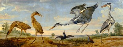 Bitterns, Herons and Water Rails in a Landscape by Paul De Vos