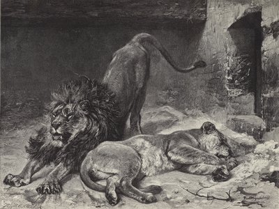 The Lion