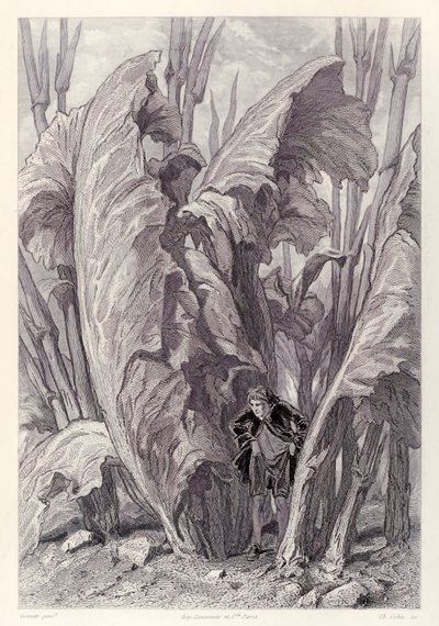 Gulliver Scavenges Food and Disappears Between Two Sorrel Leaves, from French Edition of Gulliver