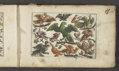 Bird of Prey, Eleven Other Birds, and a Bat (Birds) by Paul Göttich
