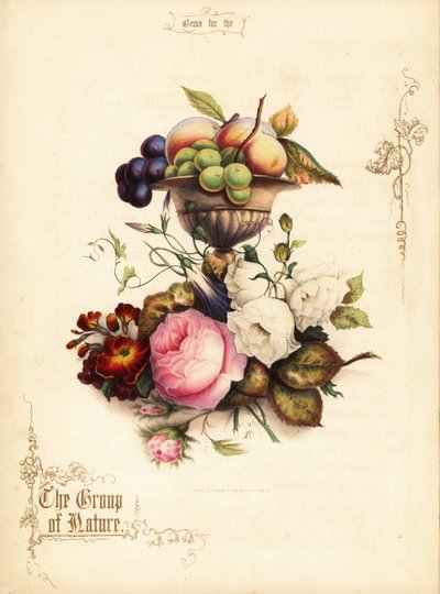 Bouquet of Roses with Grapes and Peaches in Vase by Paul Jerrard