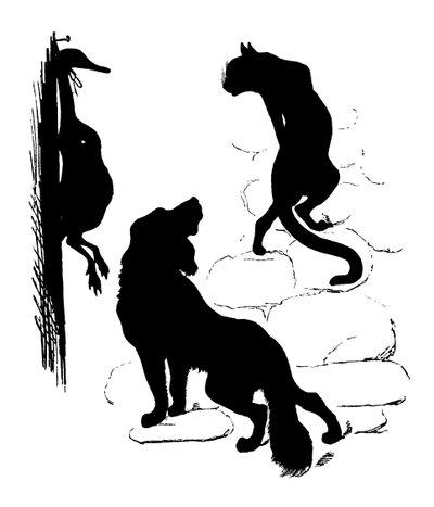 Silhouette by Paul Konewka by Paul Konewka