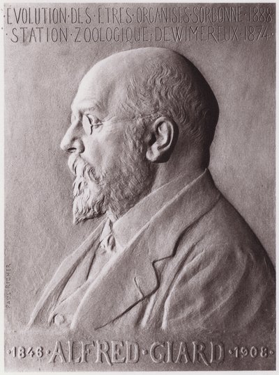 Alfred Giard (1846-1908), Zoologist, Portrait by Paul Marie Louis Pierre Richer