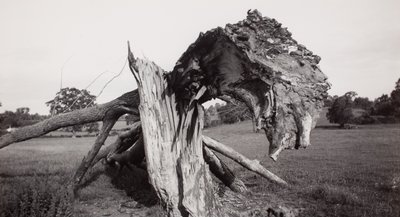 Monster Field, Carswall