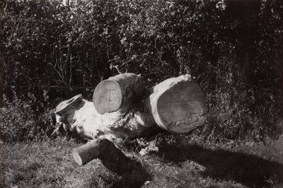 Object Trouve by Paul Nash