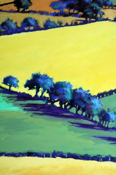 Whiteleaved Oak Close Up 8 by Paul Powis