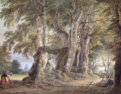A Peasant Girl Gathering Twigs, and Figures Seated by the Bole of an Ancient Gnarled Beech Tree by Paul Sandby