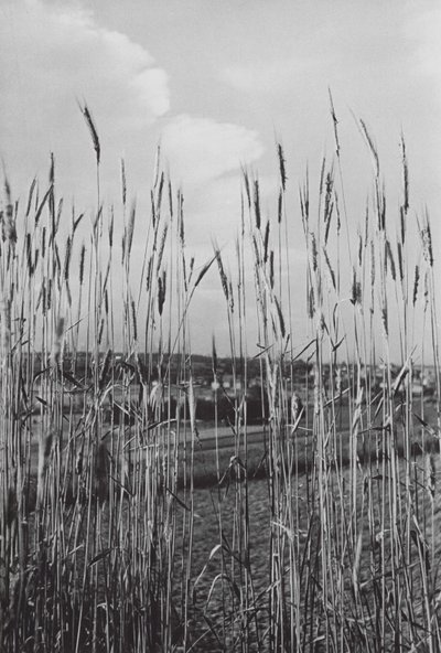 In the Bavarian Countryside by Paul Wolff