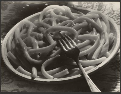 Plate of Noodles with Fork by Paul Wolff