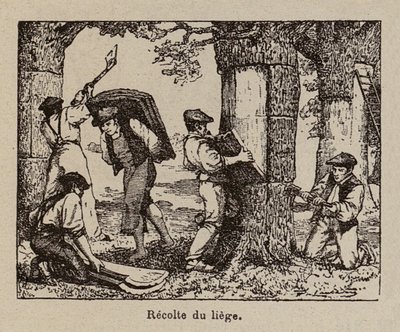 Cork Harvest by Paul de Laubadere