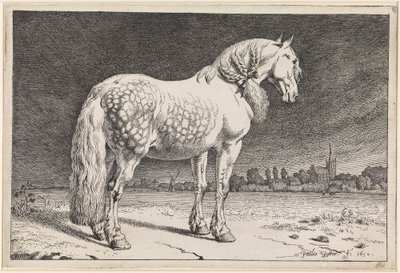 The Frisian Horse by Paulus Potter