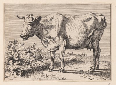 The Cow with a Crumpled Horn, from Various Oxen and Cows by Paulus Potter
