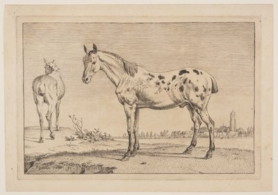 The Neighing Horse, from Series of Horses by Paulus Potter
