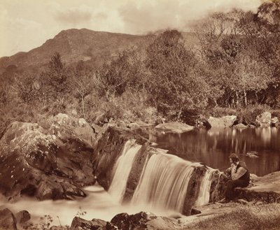 Waterfall, County Wicklow, c. 1870 by Payne Jennings