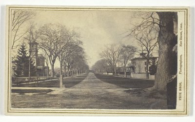 Hillhouse Avenue by Peck Brothers