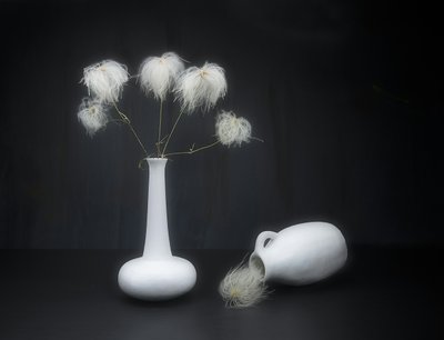 White on Black by Pedro Uranga
