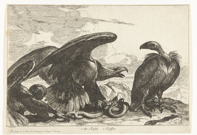 Vulture and an Eagle with a Snake (Birds from the Menagerie of Versailles) by Peeter Boel (attributed to)