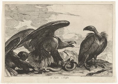 Vulture and an Eagle with Snake by Peeter Boel (attributed to)