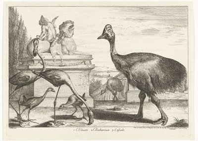 Cassowaries, Purple Gallinule, and Flamingos (Birds from the Menagerie of Versailles) by Peeter Boel (attributed to)