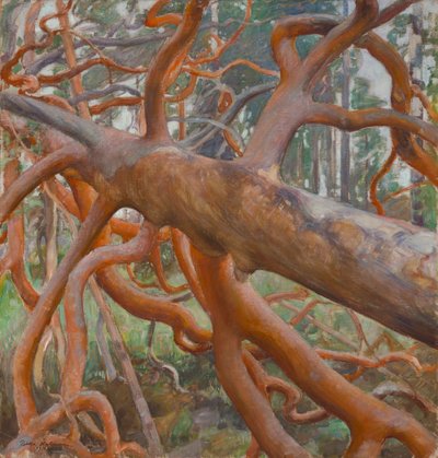 Great Pine of Kotavuori by Pekka Halonen