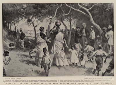 Victims of the War, Hindoo Refugees from Johannesburg Encamped at Port Elizabeth by Percy F.S. Spence