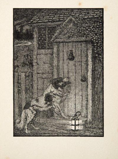 The Newfoundland Dog by Percy J. Billingshurst