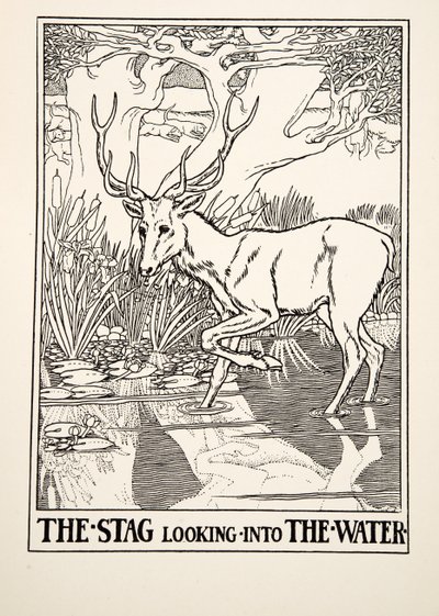 The Stag looking into the Water, from A Hundred Fables of Aesop, published 1903 by Percy J. Billingshurst