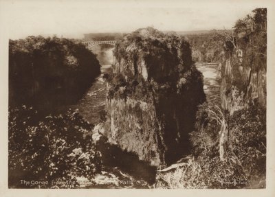 The Gorge from the Hotel, Victoria Falls by Percy M. Clark