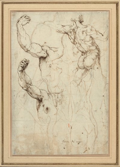 Study of a Nude Seen from the Back, and Two Studies of an Arm (recto); Nude Seen from the Back, with Subsidiary Studies of a Shoulder and Leg (verso) by Perino del Vaga