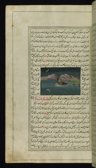 A Goose and a Reflection of the Moon in the Water from Lights of Canopus by Persian School