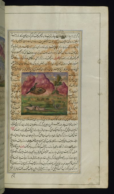 A snake and a crow’s chicks from Lights of Canopus by Persian School
