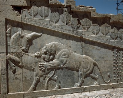 Fight between a bull and a lion - Reliefs of the eastern staircase of the Apadana by Persian School