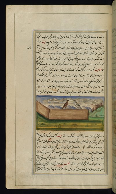 Two pigeons and a supply of grain from Lights of Canopus by Persian School